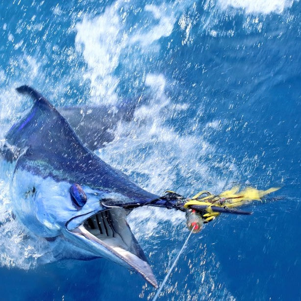Best Offshore Fishing Lures for Marlin, Swordfish and Sailfish